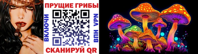 гидра онион Темрюк Псилоцибиновые грибы Psilocybine cubensis