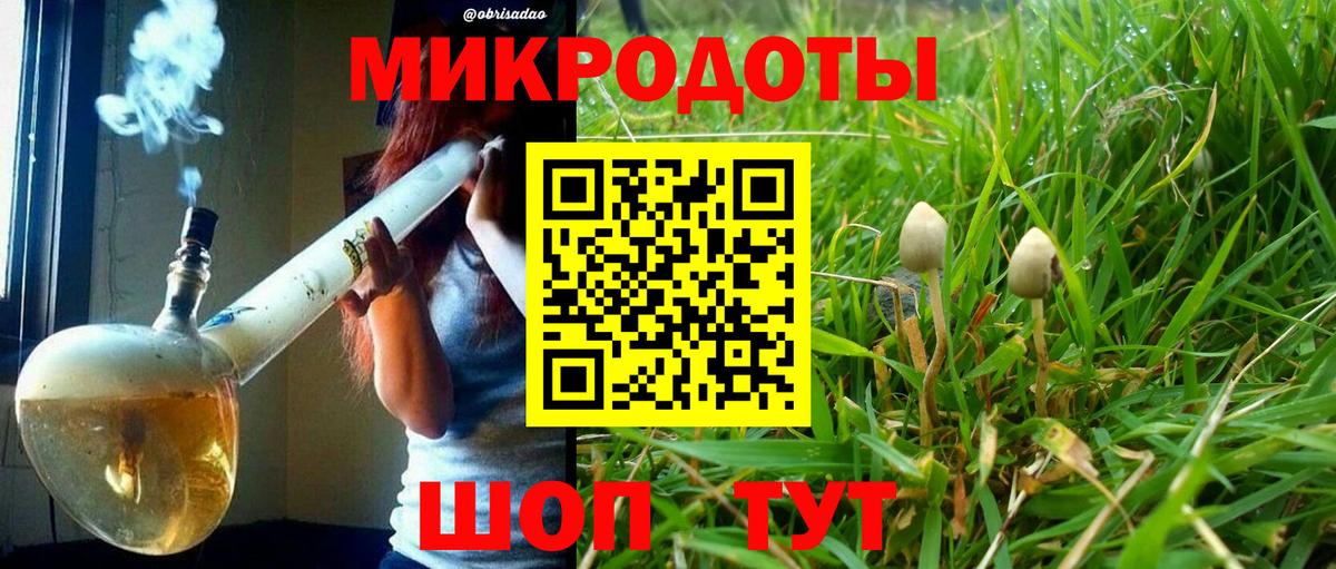 Псилоцибиновые грибы GOLDEN TEACHER Темрюк