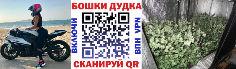Бошки Шишки индика  Темрюк 